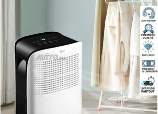 DESHUMIDIFICATEUR PORTABLE 12L RPUR