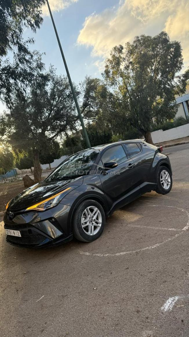 chr hybrid