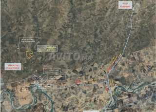 Ferme d'oliviers à vendre près de Taounate.