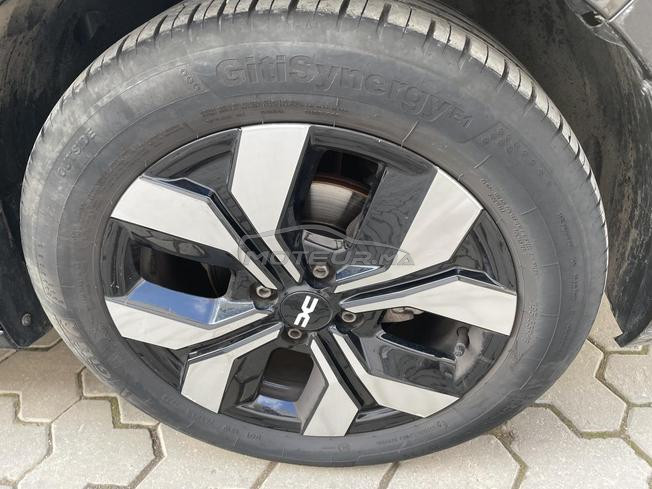 sandero