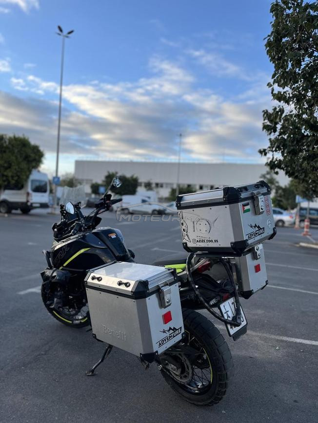 benelli TRK 702x 