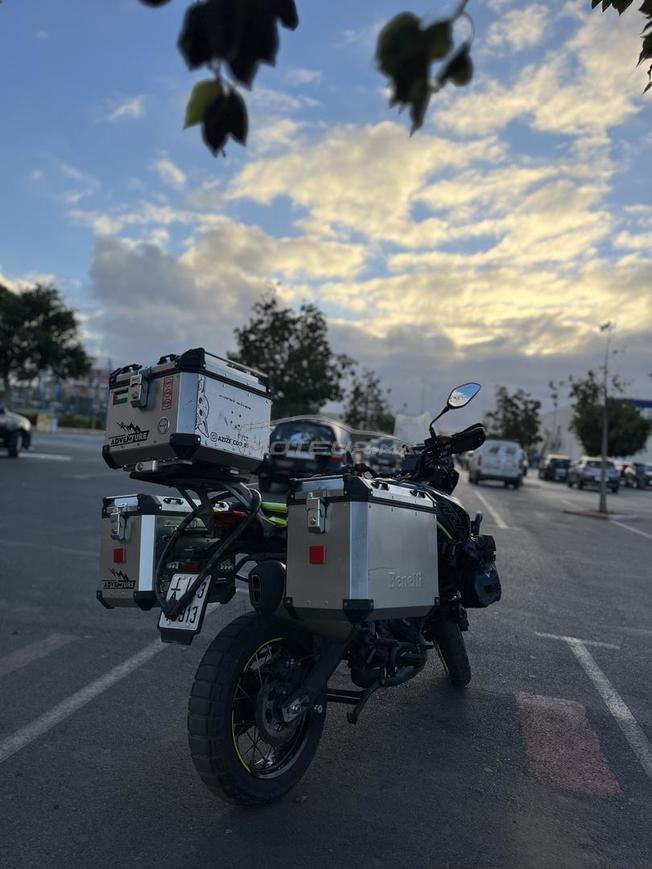 benelli TRK 702x 