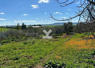 54846-Vente Terrain à   de 9474 m²