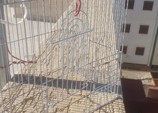 Pièce propre, très bon état, bienvenue à ceux qui sont intéressés