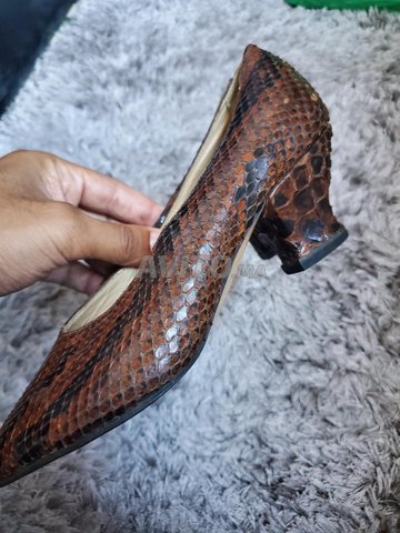 Chaussure Python