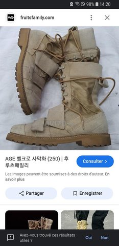 Chaussure chasse désert