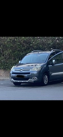 برلينجو تيبى