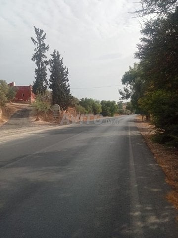 Terrain sur la route nationale N 6