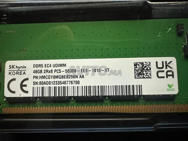 ذاكرة 48GB DDR5 ‏(1x48GB) 5600 UDIMM ECC