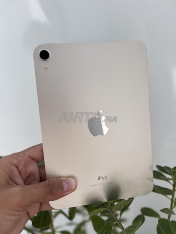 آيباد ميني (الجيل السادس) تجاوز