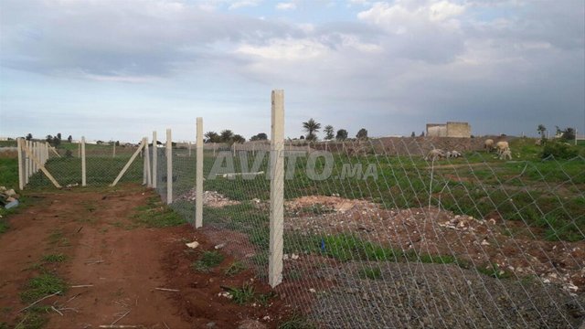 Terrain à Tnine Chtouka, terrain à vendre Tnine Chtouka