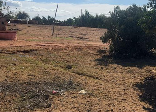 Hectare titré avec puits et maison près de Maqam Tolba