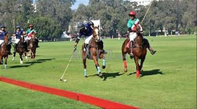 Terrains titrés vue sur mer à Sidi Mghait