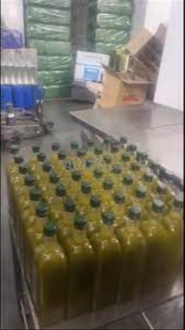 زيت زيتون - بيع بالجملة زيت بلدي للبيع بالجملة