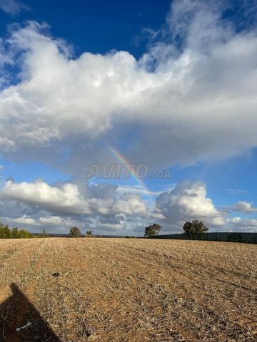 Terrain titré à Aayoun Massi près de Ain Aouda