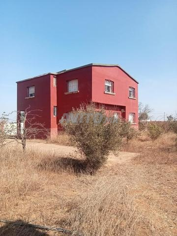 Villa avec sa cour et des plantations, avec eau à 90 millions - 2