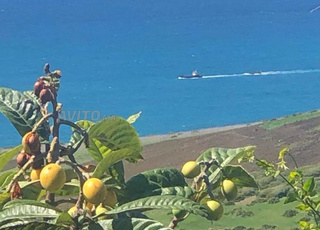 Maison d'hôtes de luxe vue sur mer à Asilah