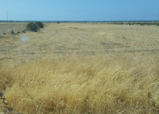À vendre terrain agricole à Bouznika