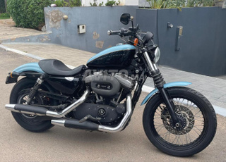 rare harley nightster