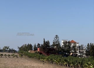 هكتار موثق ذو موقع ممتاز واستثنائي