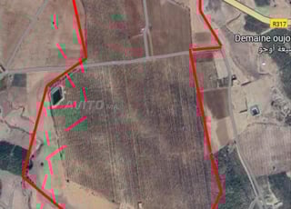 Terrain et station de service