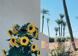 Appartement à vendre 77 m² à Daoura