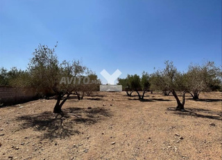149896-Vente Terrain à Marrakech Route D’Ourika -