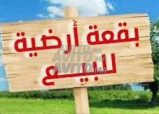 Terrain à vendre à Sidi Maarouf