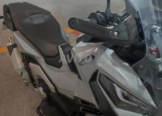 Honda X ADV 750 رمادي Nardo