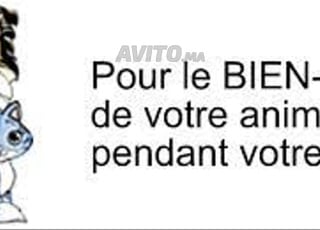 FAITES GARDER VOTRE ANIMAL EN TOUTE CONFIANCE