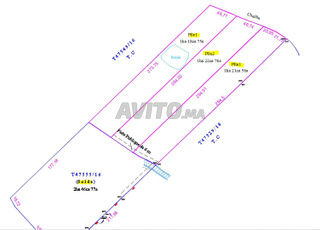 Tiflet. Aïn Johra. Meslat. 3 hectares et demi
