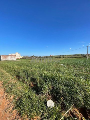 🆘🆘 Terrain convenant à tout à vendre