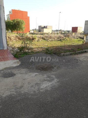 A vendre terrain Lot Alia Had soualem