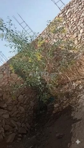 Terrain avec maison à vendre