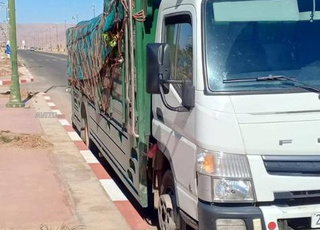 mitsubishi canter fuso