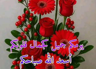 Appartement superficie 120 mètres Aslane Hay Mohammadi