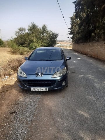 407 Peugeot avend