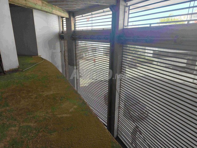 Magasin trois rideaux Filaha