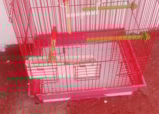 Cage à oiseaux moyenne