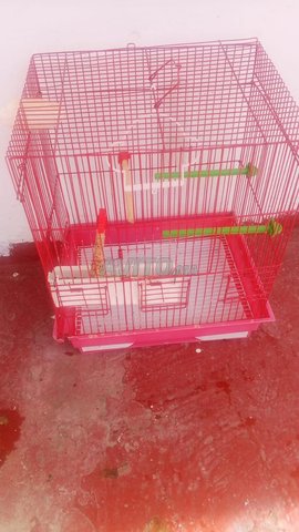 قفص طيور متوسط