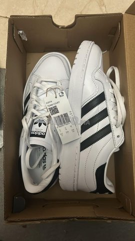 Adidas Originals Team Court