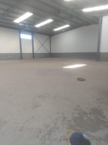 Hangar 500m2 industriel à Mohammedia