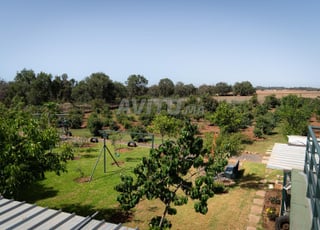 Terrain titré 3666 m² – Route Zaër Rabat