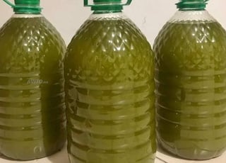 Huile d’olive pure traditionnelle de Beni mellal