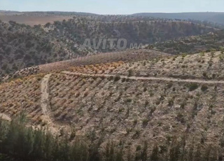 مزرعة للبيع