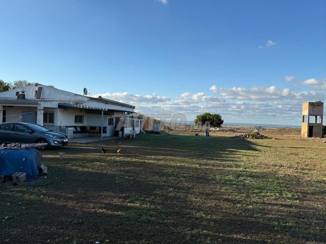 Ferme de 3,5 ha avec vue imprenable sur la mer