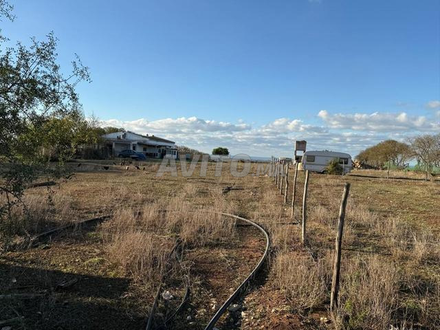 Ferme de 3,5 ha avec vue imprenable sur la mer - 2