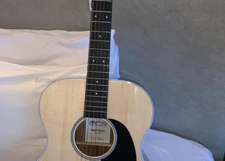 غيتار احترافي