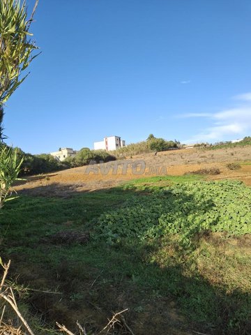 Terrain résidentiel à vendre zone ville