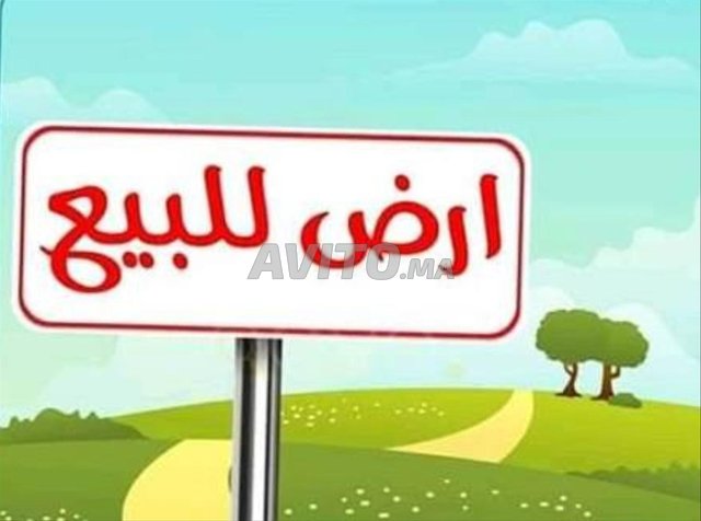 Deux parcelles de terrain à vendre, deuxième tranche Assrir